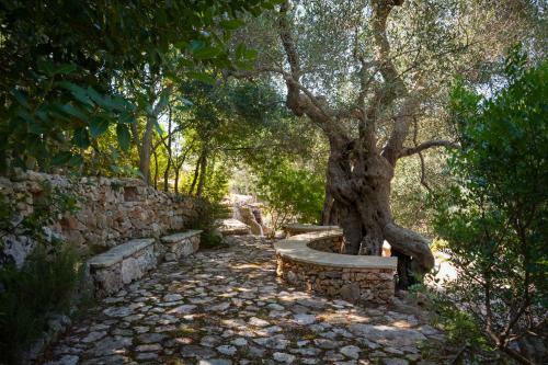 "il Bosco" Di Pozzo Volito
