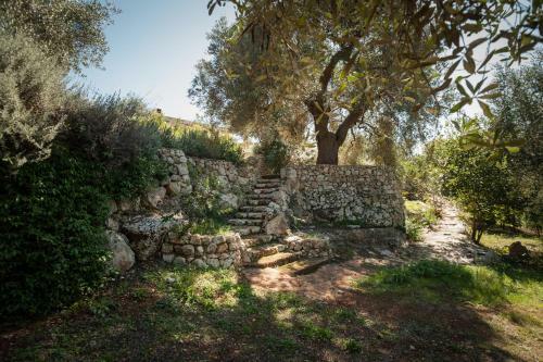 "il Bosco" Di Pozzo Volito