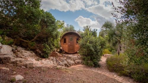 "il Bosco" Di Pozzo Volito