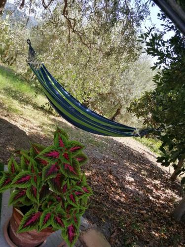 Casa Vacanze Magistro