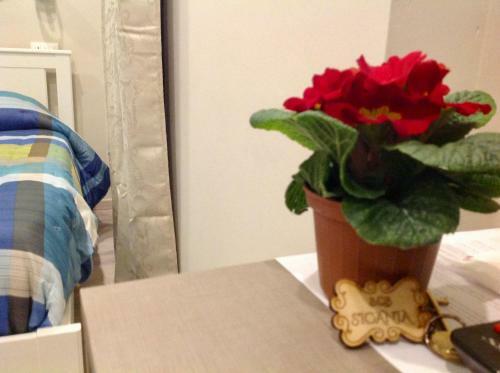 Bed & Breakfast Sicania