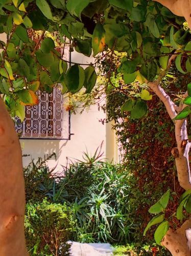 Apartamento Villa Chelia
