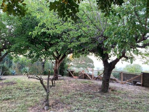 Apartamento L'ulivo In Villa Greco