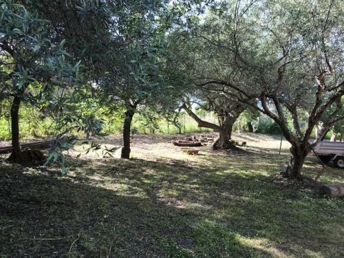 Apartamento L'ulivo In Villa Greco