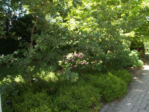 Apartamento Villa Ghia Appartamento