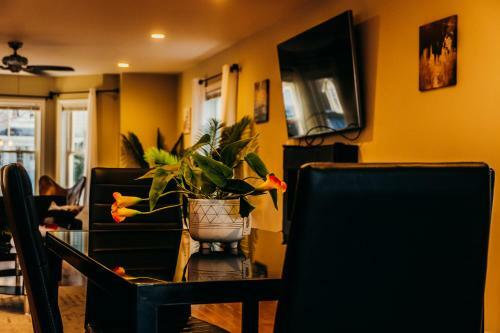 Avanti - With Garage Parking Near Harvard University