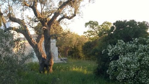 Trulli Eutopia