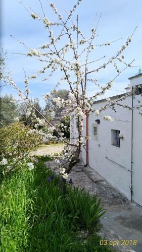 Trulli Eutopia