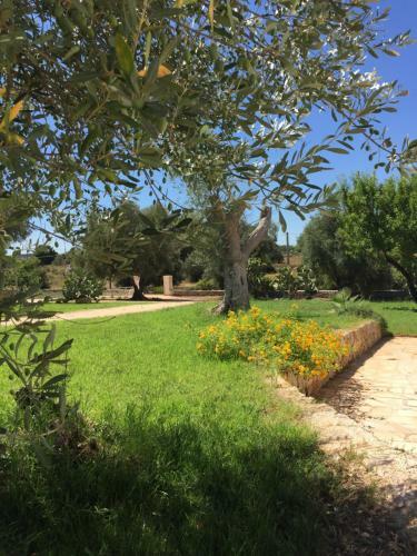Villa The Paradise - Il Paradiso Di Ostuni