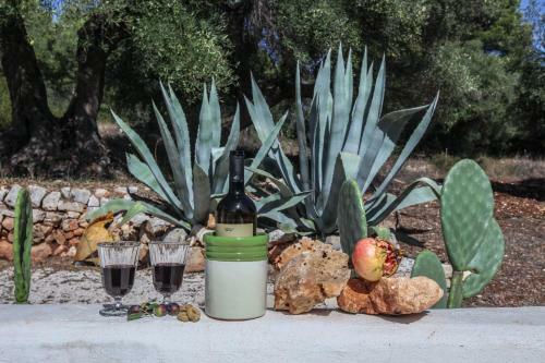 Agroturismo Casina Fumarola