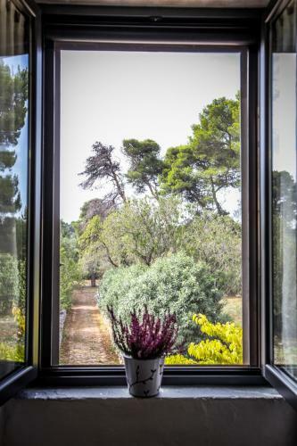 Agroturismo Casina Fumarola