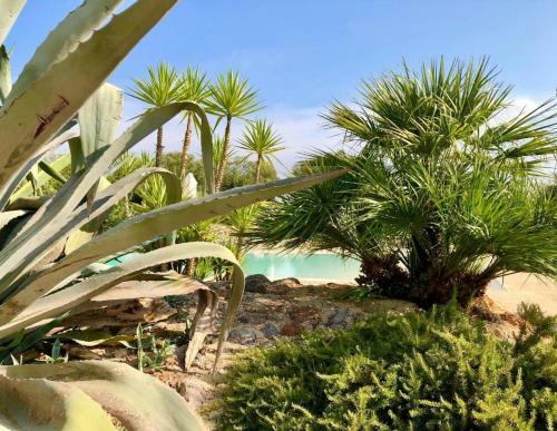Apartamento Le Biadelle