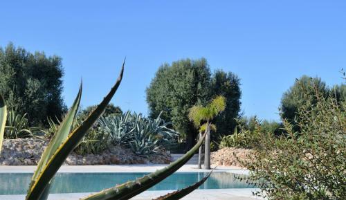 Apartamento Le Biadelle