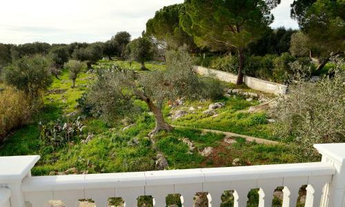 Villetta Panoramica