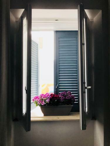 Apartamento Ninozza House