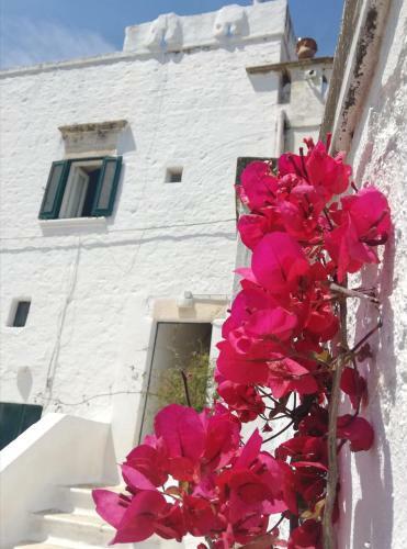 Villa Masseria Semerano Appartamento 2