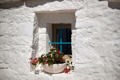 Bed & Breakfast Petranima Wellness In Trulli