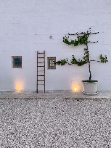 Bed & Breakfast Petranima Wellness In Trulli