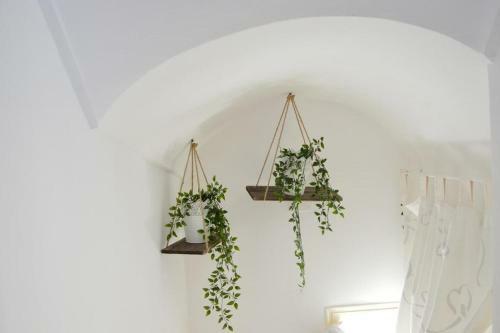 Casa Jal� With Terrace