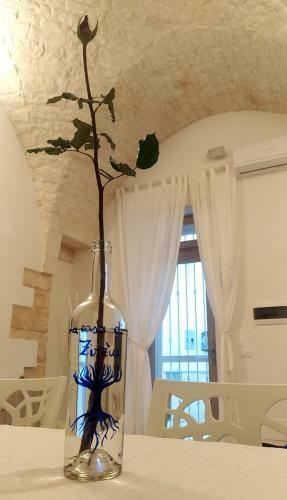 La Casa Di Zizz�a