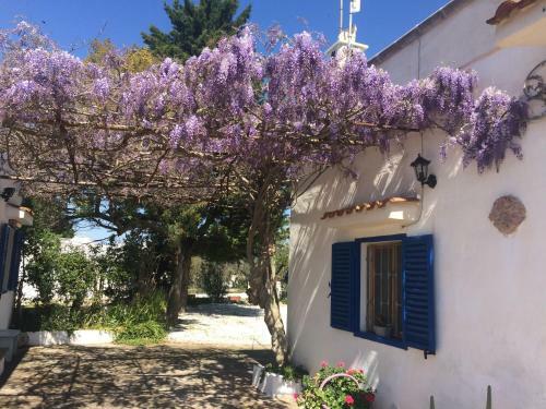 Casa Vacanze Di Maria