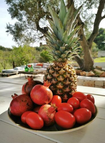 La Cabane Ostuni Sea View Holiday Home