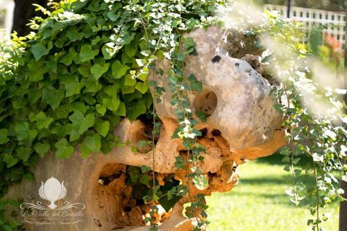 Bed & Breakfast La Valle Del Cristallo Wellness & Charme