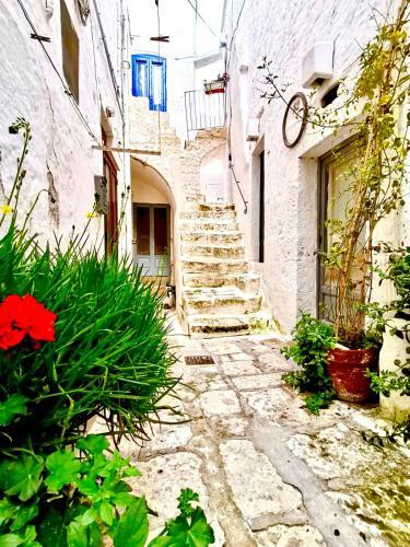 Apartamento White Stone- La Nicchia