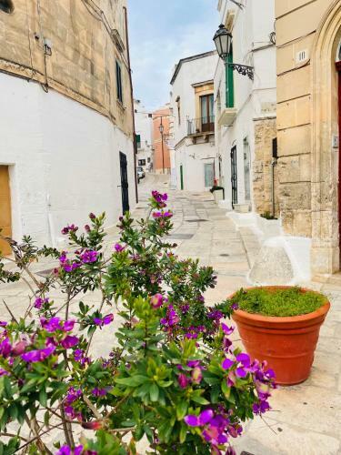 Apartamento White Stone- La Nicchia