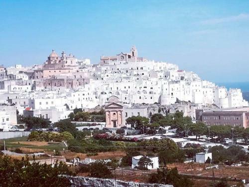 Ostuni Bianca Floreale