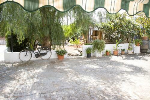 Lodge Ostuni Home Nature