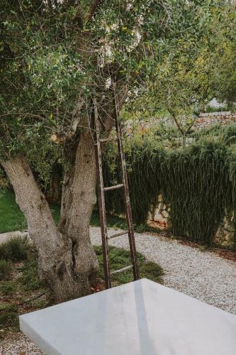 Villa Cocotrullo With Infinity Pool