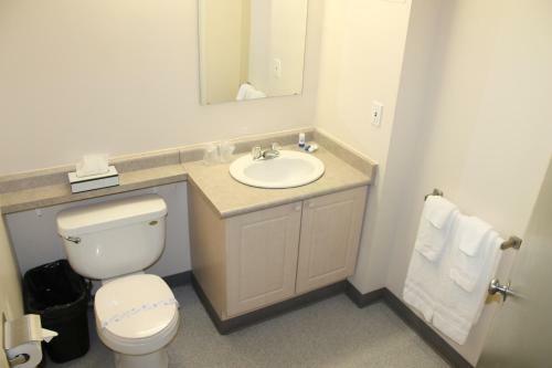 Aparthotel Residence & Conference Centre - Windsor