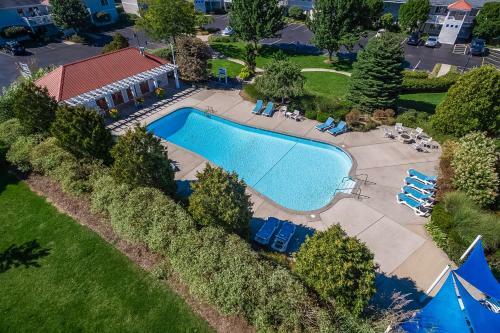 Bluebird Condo