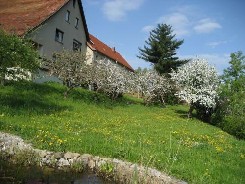 Apartamento Fewo M�hlehof