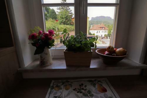 Apartamento Ferienwohnung Zum Bielatal