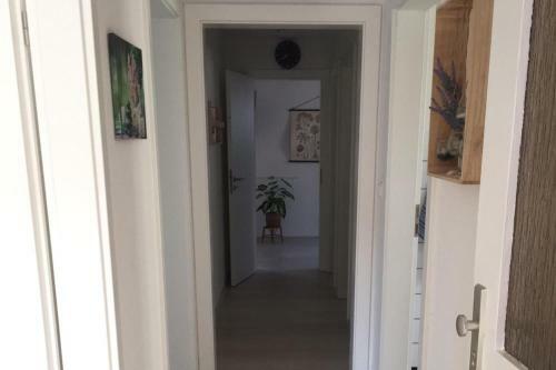 Apartamento Ferienwohnung In Korb