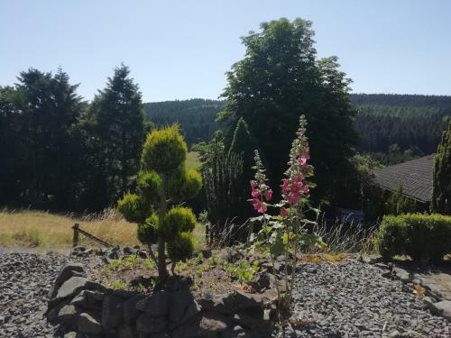Apartamento Fewo Koeppe