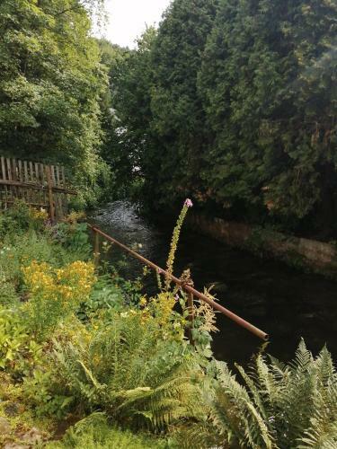 Apartamentos Haus K�nigstein Fewo Bielablick