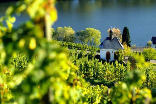Weingut Christoffel