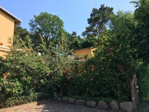 Apartamentos Casa Del Mar Koserow - 42m Bis Zum Strand