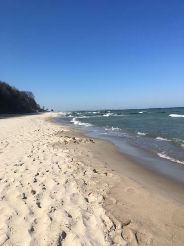 Apartamentos Casa Del Mar Koserow - 42m Bis Zum Strand