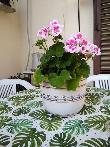 B&B Soleluna Della Solidariet�