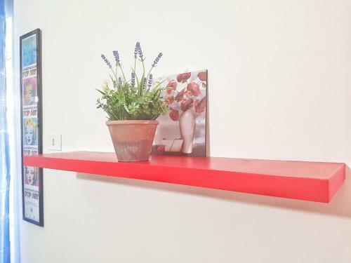 Apartamento Oly99