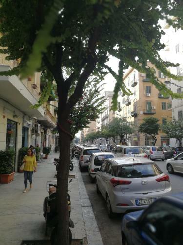 Apartamento Casa Rosa