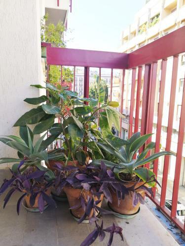 Apartamento L'appartamentino A Palermo
