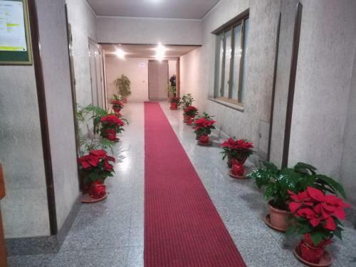 Apartamento L'appartamentino A Palermo
