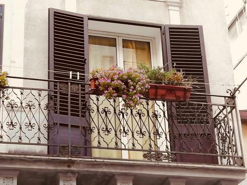 Apartamento Il Geranio Blu