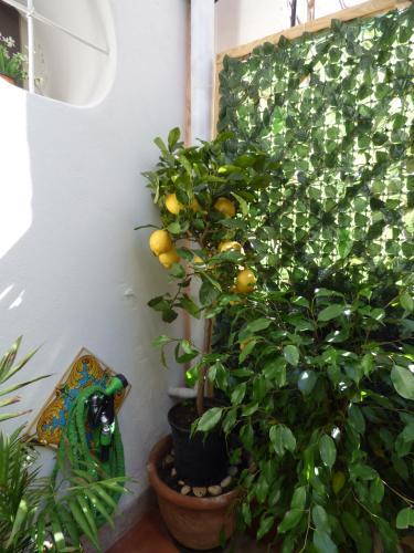 Apartamento Casa Sicana