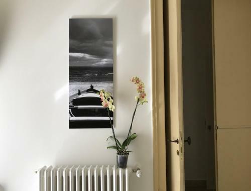 Hostal Fofino's Rooms